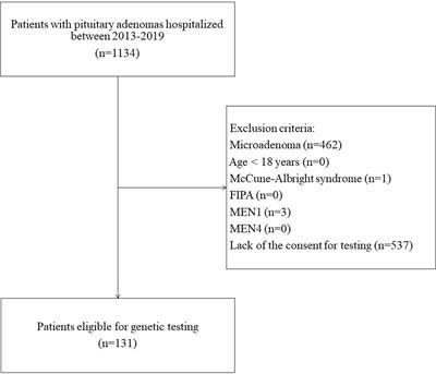 AIP gene germline variants in adult Polish patients with apparently sporadic pituitary macroadenomas